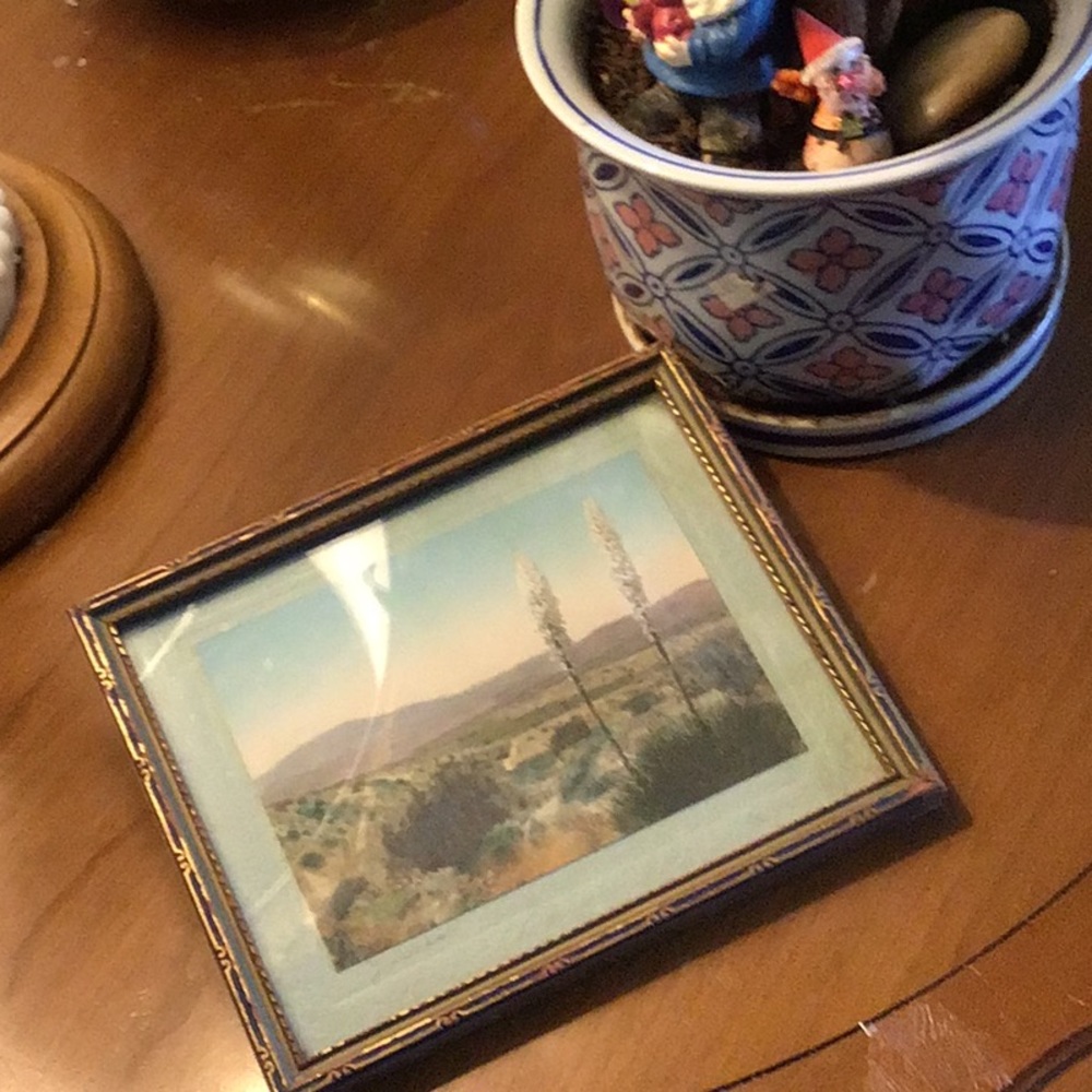 Framed Picture
